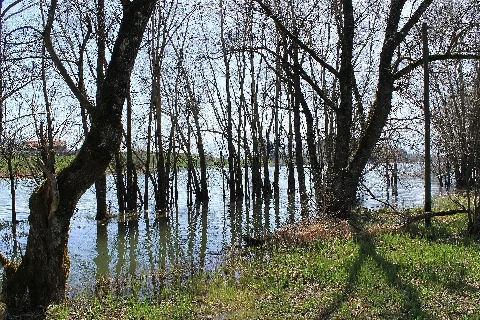 Lac De Bret Panoramio (72)