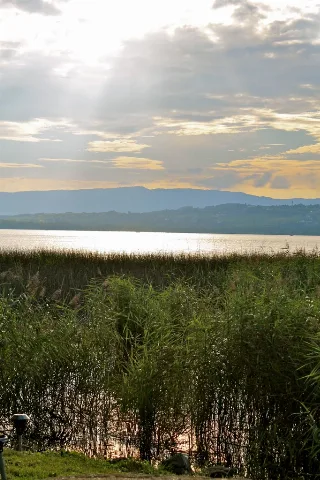 Lac De Morat (18)