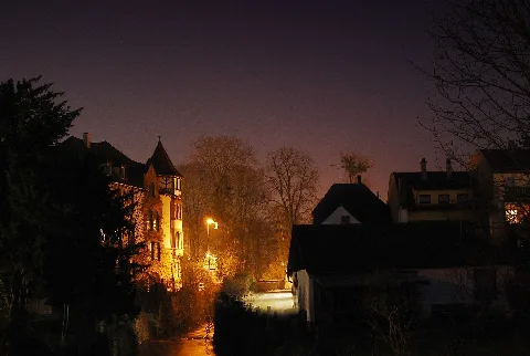 Lahr Tiergarten Str. Backyard Panoramio