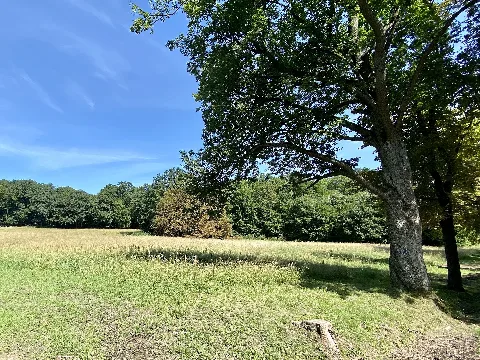 Lainzer Tiergarten Kleine Dorotheerwiese 05