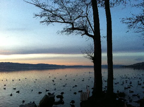 Lake Sempach, Sempach, Lucern Panoramio (1)