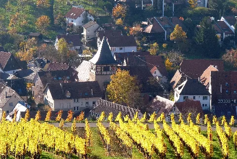 Landappbw 310713 1817 Blick Auf Den Ortskern Strümpfelbach