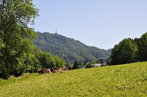 Landikerwiese Dsc 0142