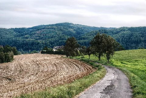 Landscape Puchenau Hdr 2 (Dfdb)