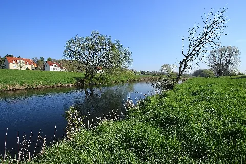 An der Zwickauer Mulde im Dorf Remse bei Waldenburg, FFH-Gebiet DE-4842-301 „Mittleres Zwickauer Muldetal“.