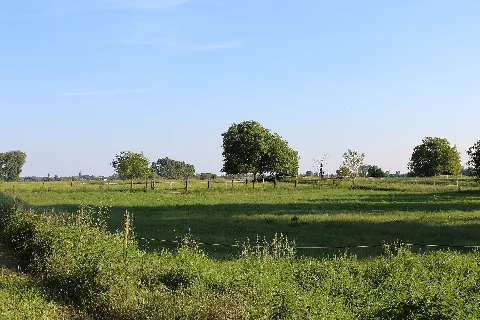 Landschaft Im Wörth1