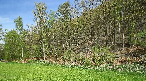 Landschaftsschutzgebiet Am Röhrensteg In Zwickau, Sachsen 2H1A0070Wi