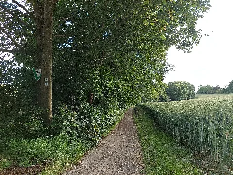 Landschaftsschutzgebiet Oberlimpurg Schwäbisch Hall 2024 06 15 3