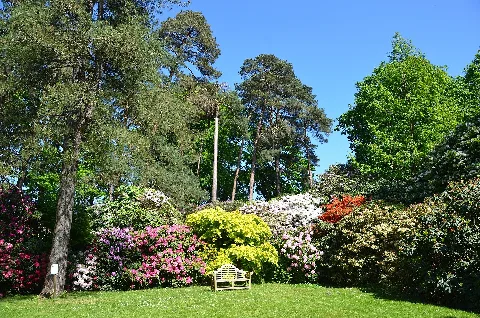 Landschaftsschutzgebiet Rhododendronpark Linswege