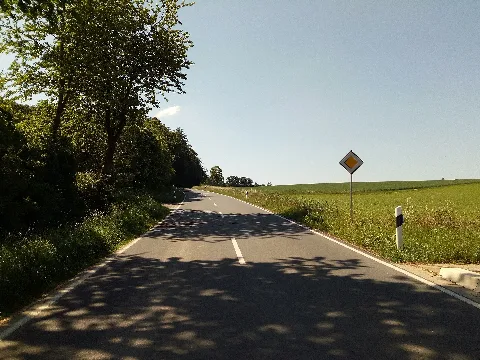 Landschaftsschutzgebiet Waldgebiet Eickholt Melle Datei 2