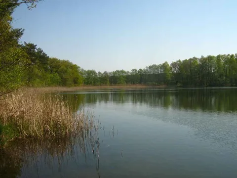 Langer See (Flessenow) 23 04 2009 002