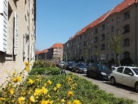 Langerhansstraße