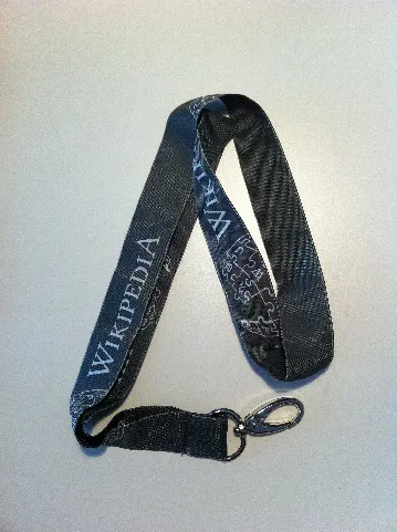 Lanyard