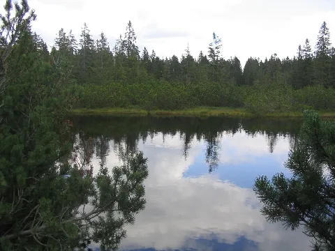 Latschensee2