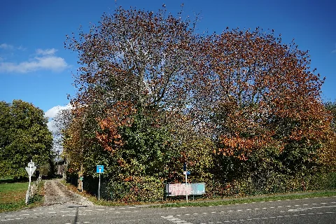 Lb 094 Mönchengladbach, Gehölzbestände Am Lenßenhof