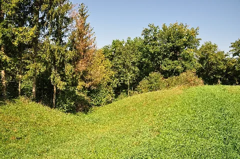 Leebern, Teil Der Spätrömischen Rheinbefestigung In Weiach 2011 09 15 11 45 28
