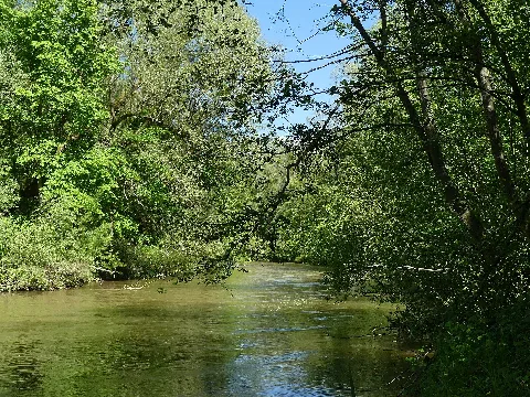 Leiblach Kurz Vor Der Mündung