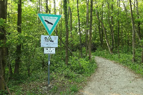 Lengerich Nsg Steinbruch Im Kleefeld 06