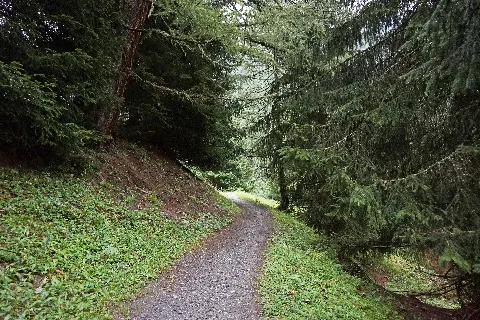 Leukerbad Path 3