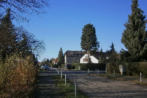 Lichtenrade (28) Griemberger Elandsberger