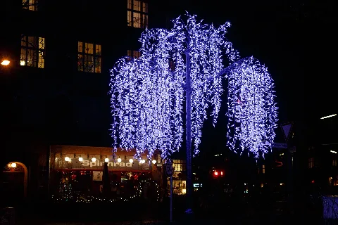 Lichterbaum In Wilmersdorf 20150104 6