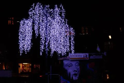 Lichterbaum In Wilmersdorf 20150104 7