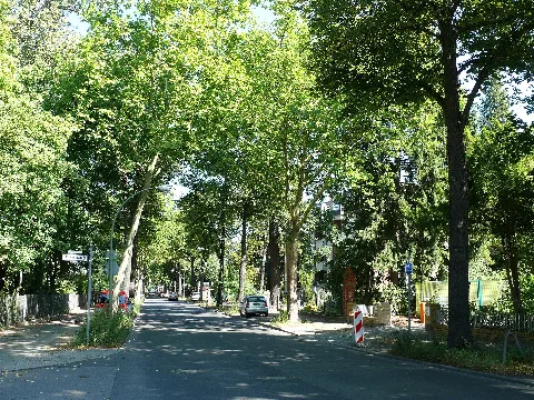 Lichterfelde Ostpreußendamm