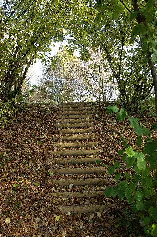 Liegewieselustenau6