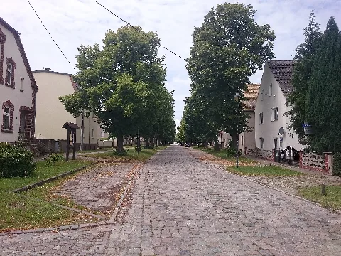 Lindenallee Zinna
