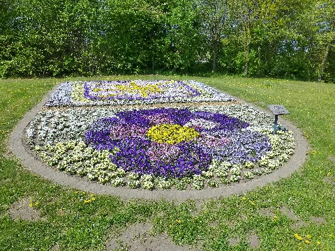 Lippstadt Blumen P1010597 (8708738735)