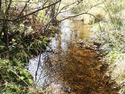 Lister Fluss