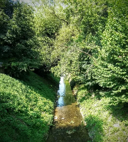 Littenbach In Au Sg