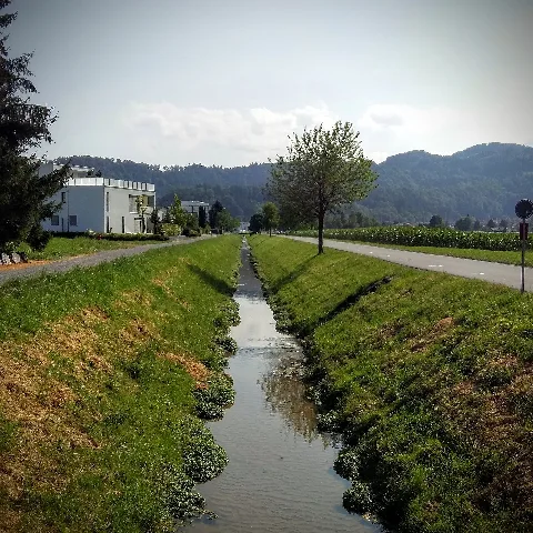 Littenbach Zwischen Berneck Und Au