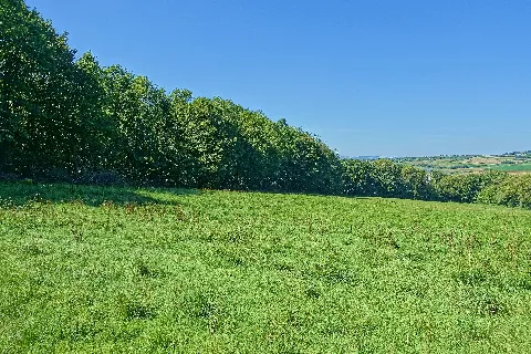 Lörrach Rümmingen Naturschutzgebiet Rümminger Moos Bild 4