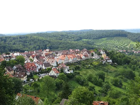 Loewenstein 20120825