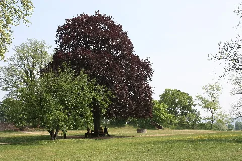 Lorsch, The Abbey Park