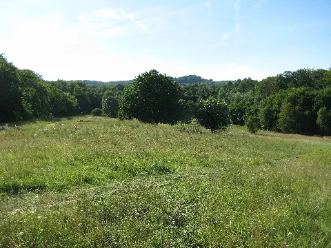 Lsg 378517, Stadt Kassel, Hessenschanze, 2, Kirchditmold, Kassel