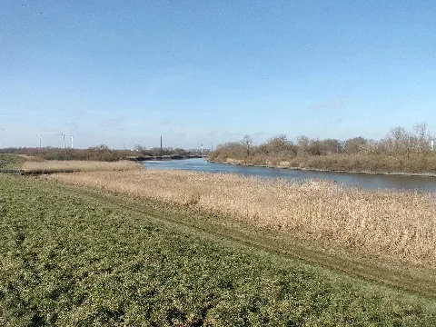 Landschaftsschutzgebiet Tatenberg im Bezirk Hamburg-Bergedorf, WDPA-ID 325104, Uferzonen der Dove-Elbe westlich der Tatenberger Schleuse parallel zum Ruschorter Hauptdeich. Die Wasserflächen gehören zum NSG Auenlandschaft Obere Tideelbe, die gegenüberliegende Uferzone zum LSG Moorfleet.