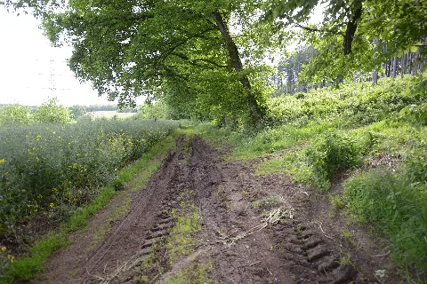 Lsg "Zu Den Rechen" Weg An Südlicher Grenze