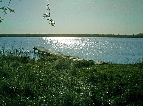 Ludwigshofer See