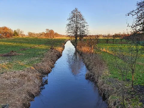 Veerse