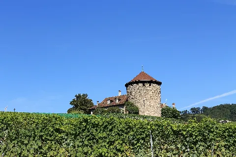 Lutry Panoramio (10)