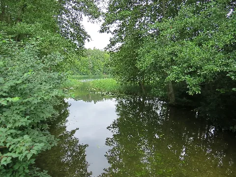 Lychen Zenssee 2013 08 10 Ama Fec