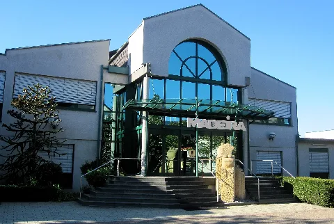 Madeira Garne Freiburg 01