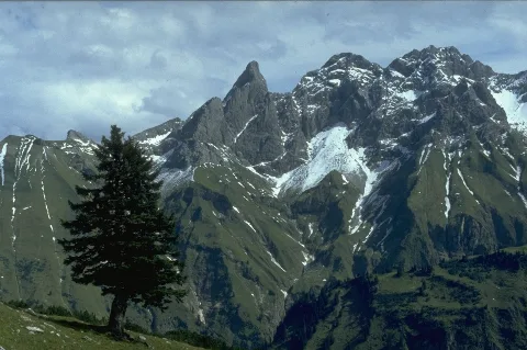 Maedelegabelgruppe Vom Taufersberg