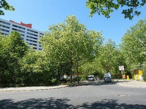 Märkisches Viertel Wesendorfer Straße