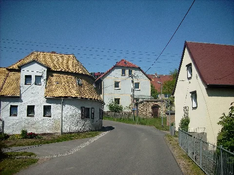 Mahlitzschbienenkorb