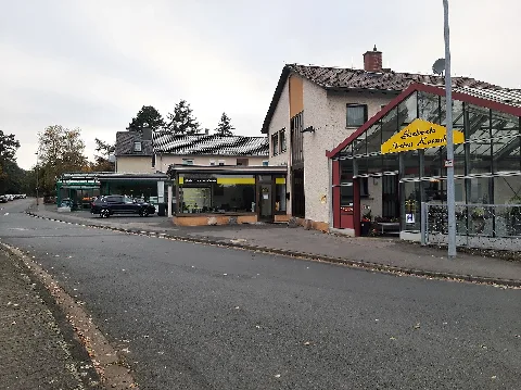 Am Rande von Mainz befindet sich im Stadteil Mombach der Waldfriedhof. Er hat einen eigenen Halt, wo die Busse nach Budenheim weiterfahren. Friedhofsnahes Gewerbe wie Steinmetze und Gärtnerei befinden sich nördlich des Eingangs