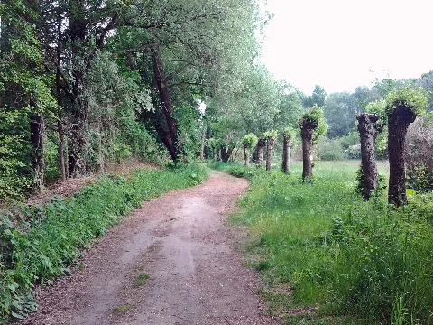 Malchower Aue (2)