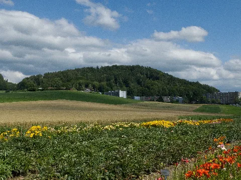 Mannenberg Nw1